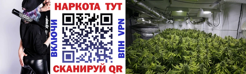 Купить Галлюциногенные грибы  Экстази  ГАШИШ  АМФЕТАМИН  Меф мяу мяу  A PVP  Конопля  COCAIN  Кашира