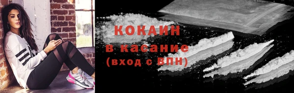 прущие грибы Каменск-Шахтинский