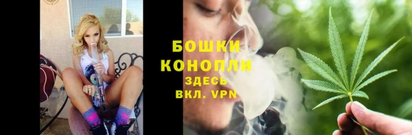 прущие грибы Каменск-Шахтинский