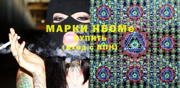 прущие грибы Каменск-Шахтинский