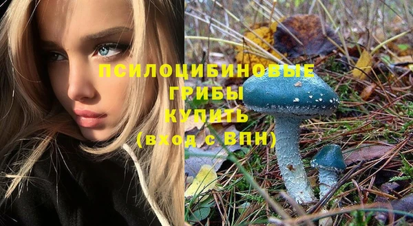дурь Каменногорск