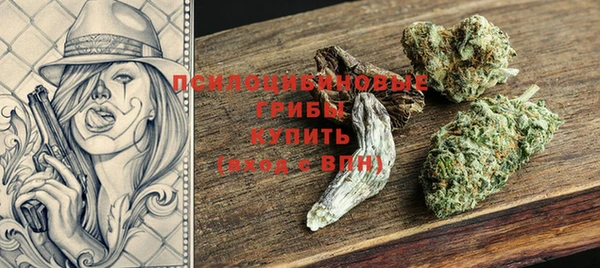 дурь Каменногорск