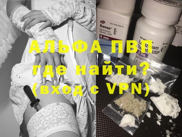 прущие грибы Каменск-Шахтинский