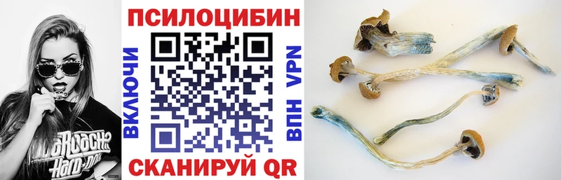 Галлюциногенные грибы мицелий  Купить закладки  Кашира 